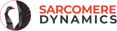 Sarcomere Dynamics